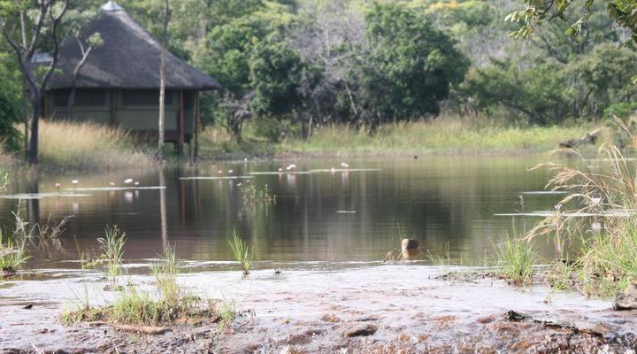 Alpetra Nature Reserve