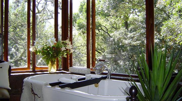 Forest Creek Lodge & Spa