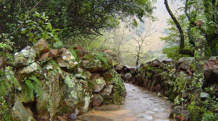 Forest Creek Lodge & Spa