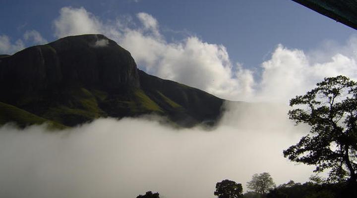 Forest Creek Lodge & Spa