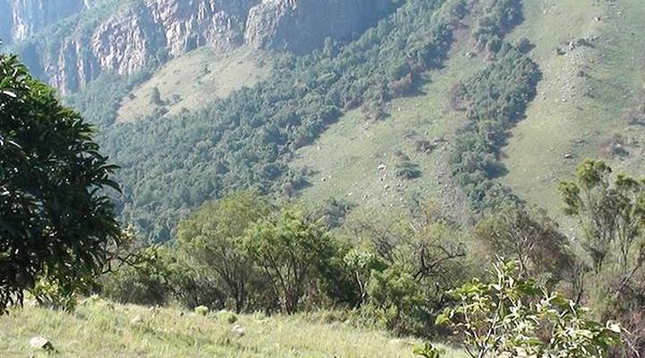 Forest Creek Lodge & Spa