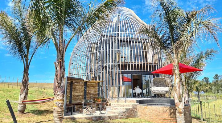 Buff and Fellow Eco Cabins