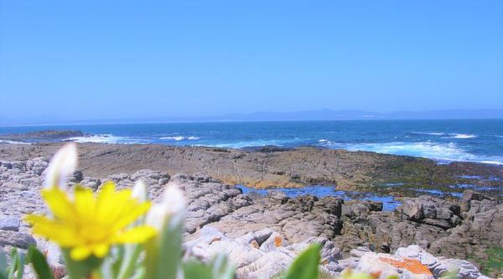 Hermanus Whale View Beach House