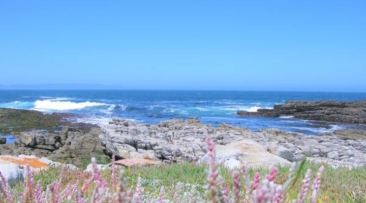 Hermanus Whale View Beach House