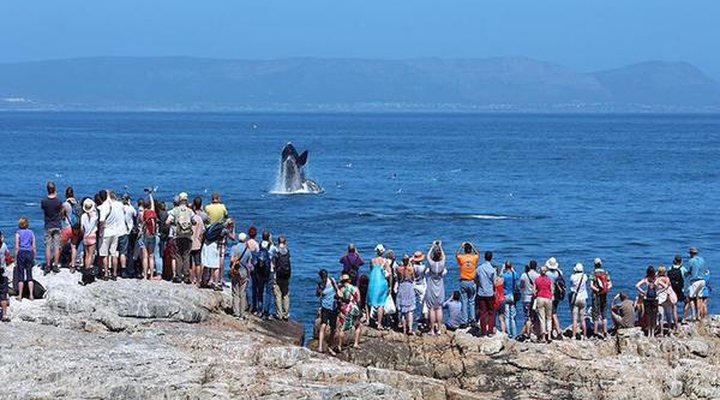 Hermanus Whale View Beach House