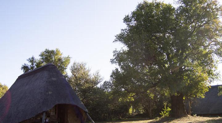 Bonwa Phala Game Lodge