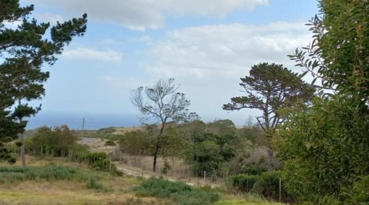 Dunkes Organic Equestrian Estate