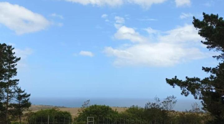 Dunkes Organic Equestrian Estate