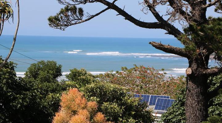 Reef View - East London