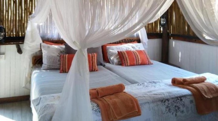 Off Beat Safaris Bush Camp