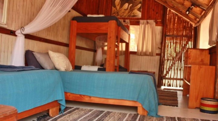 Off Beat Safaris Bush Camp