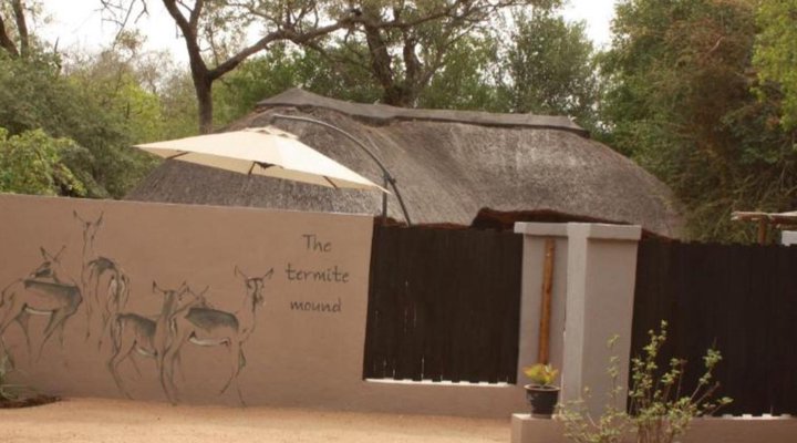 Off Beat Safaris Bush Camp