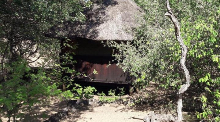 Off Beat Safaris Bush Camp