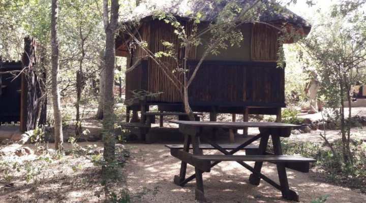 Off Beat Safaris Bush Camp