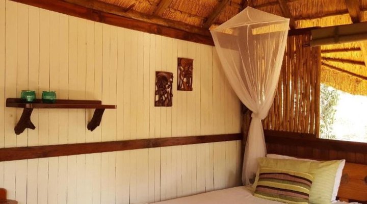 Off Beat Safaris Bush Camp