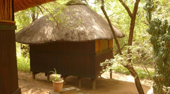 Off Beat Safaris Bush Camp