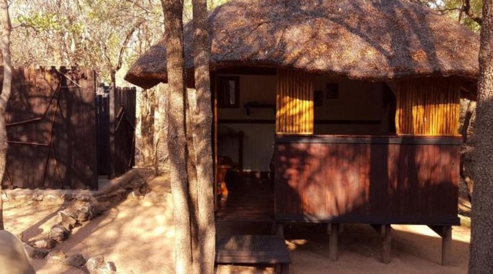 Off Beat Safaris Bush Camp