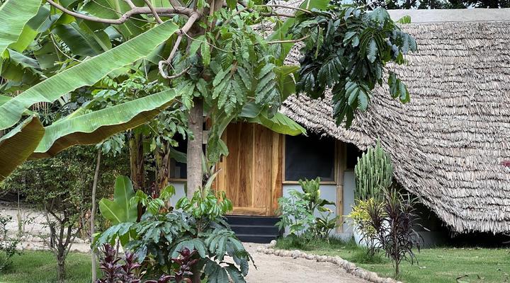 The Jungle Pearl Resort