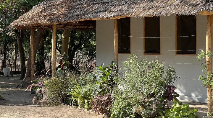 The Jungle Pearl Resort