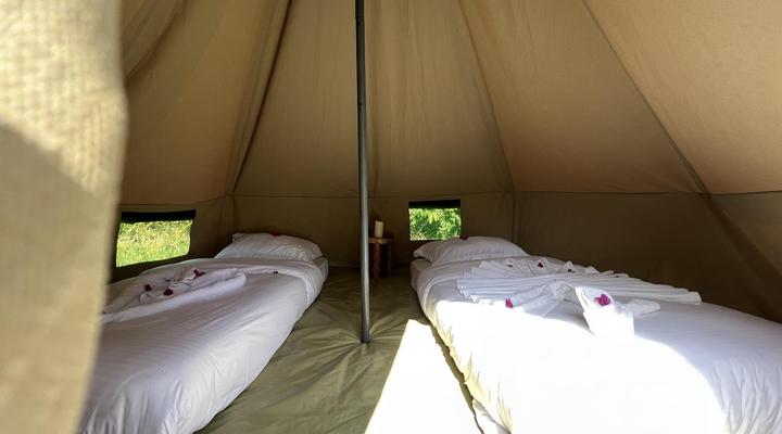 The Jungle Pearl Resort