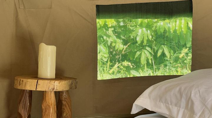 The Jungle Pearl Resort