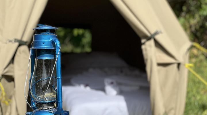 The Jungle Pearl Resort