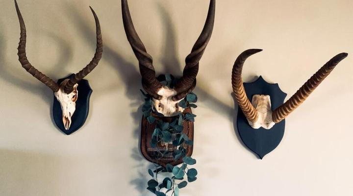 Morakane Safari Lodge