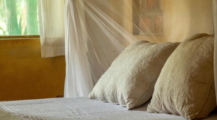 Turtle Cove Lodge and Shala