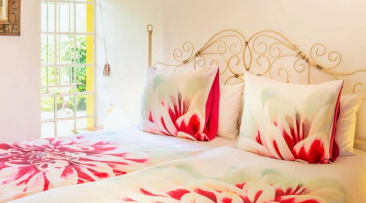 Jacana Gardens Guest Lodge