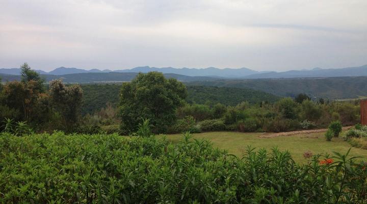 Protea Wilds Retreat