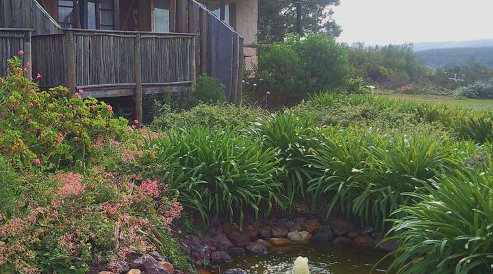 Protea Wilds Retreat