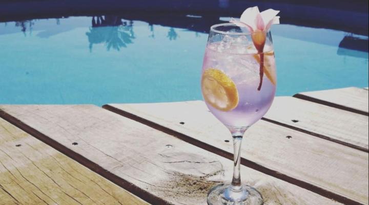 Protea Wilds Retreat