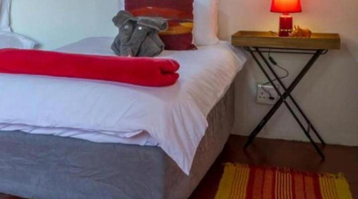 Wild Ride Safaris and Bush Camp