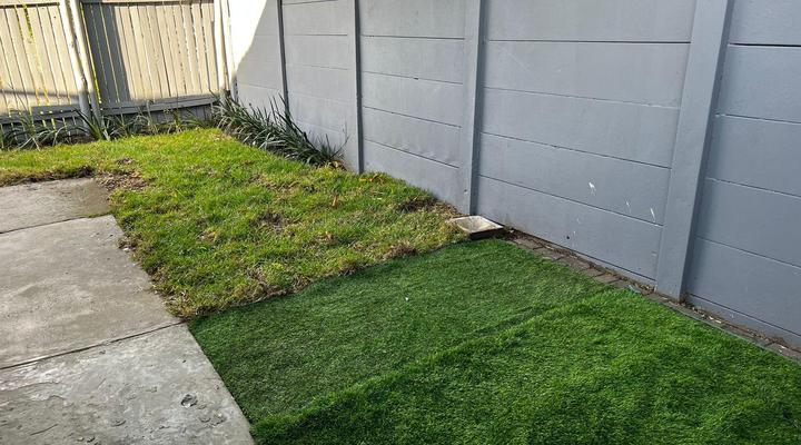 Safi Self Catering Suites