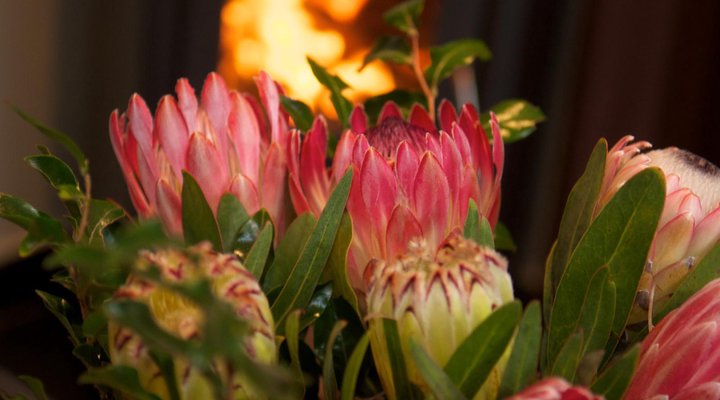 Cap Serein Guest House