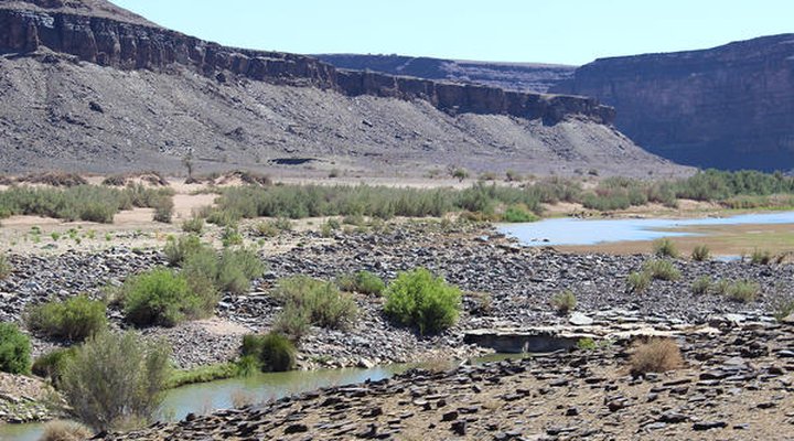 Canyon Klipspringer Camps