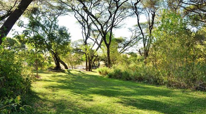 Muchenje Cottages