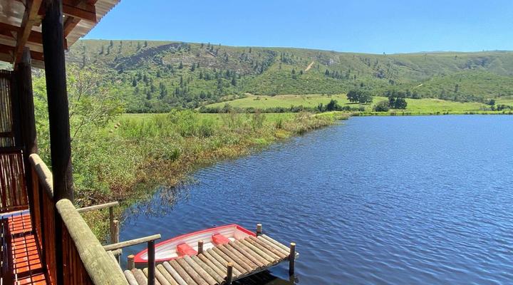 Fleckvieh Guest Farm