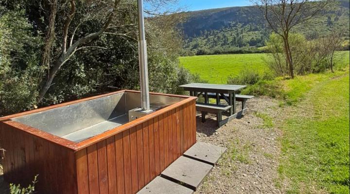 Fleckvieh Guest Farm