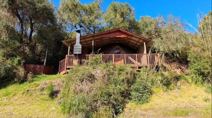 Fleckvieh Guest Farm