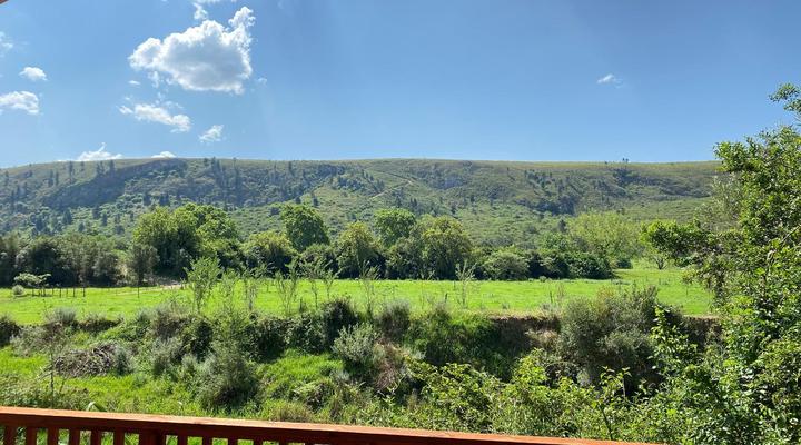 Fleckvieh Guest Farm