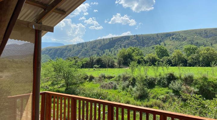 Fleckvieh Guest Farm