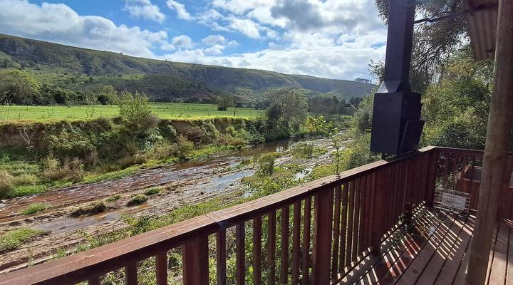 Fleckvieh Guest Farm