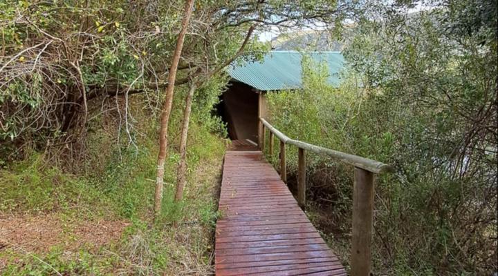 Fleckvieh Guest Farm