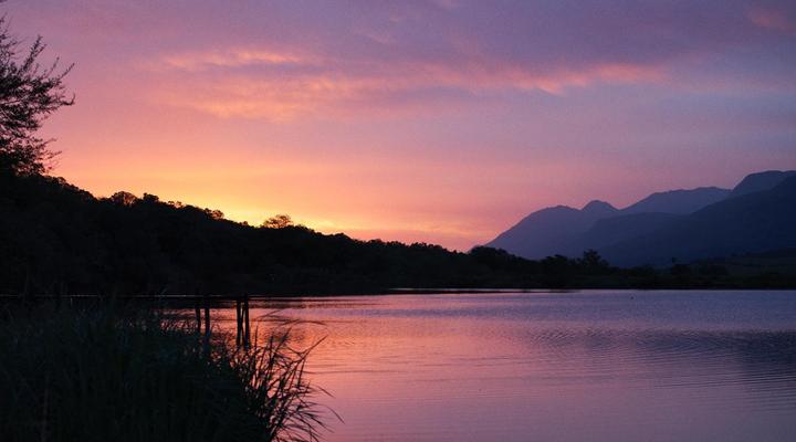 Fleckvieh Guest Farm