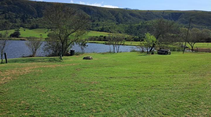 Fleckvieh Guest Farm