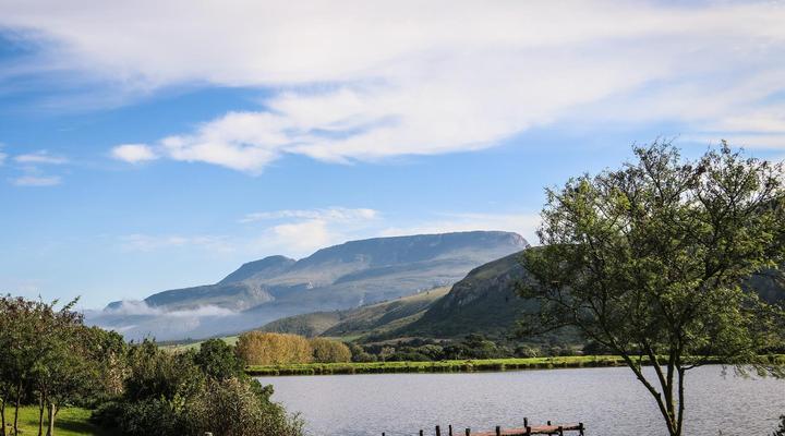 Fleckvieh Guest Farm