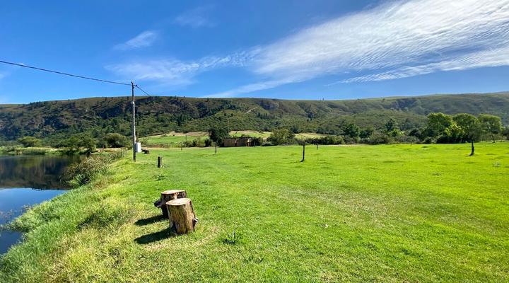 Fleckvieh Guest Farm