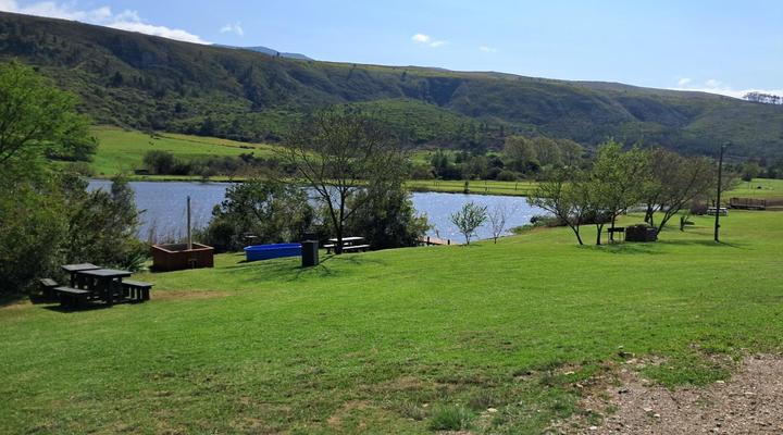 Fleckvieh Guest Farm