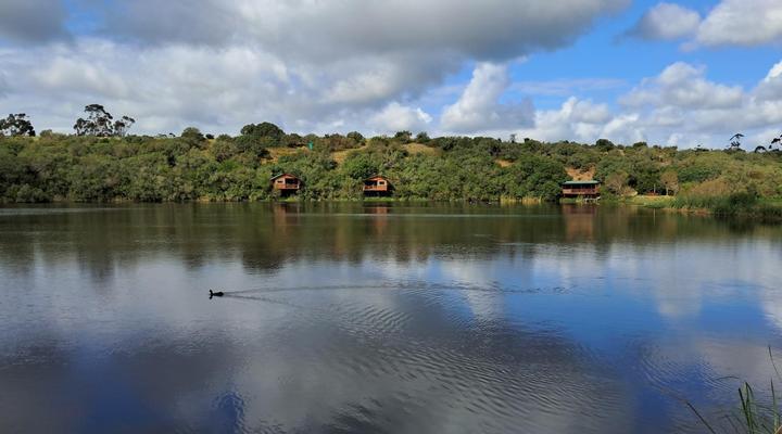 Fleckvieh Guest Farm